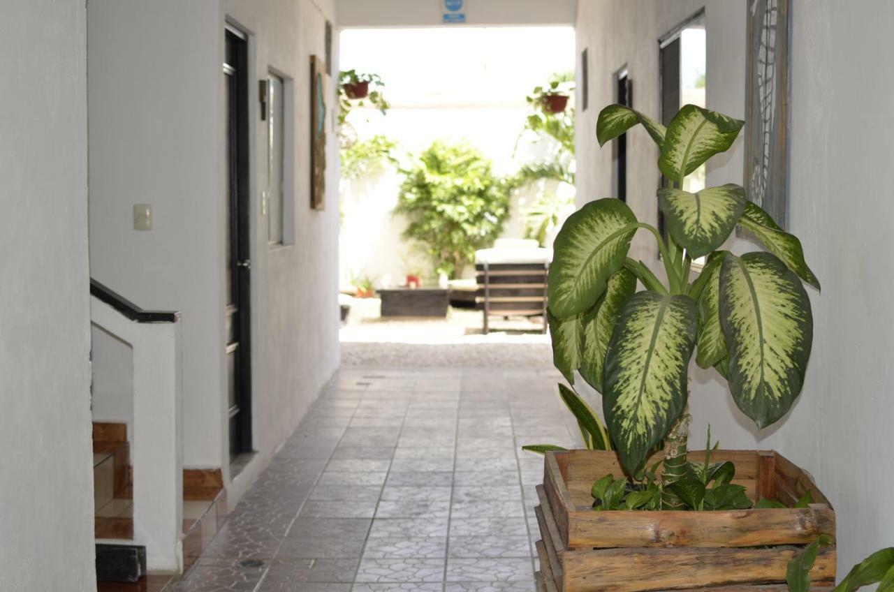 Hotel Nicte Ha Tulum Dış mekan fotoğraf